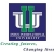 Indus International University
