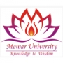 Mewar University