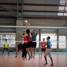 Sports